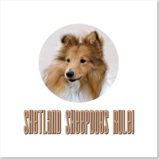 Shetland Sheepdogs Rule! Posters and Art